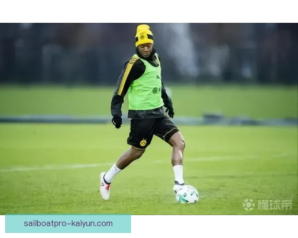 洛伦特状态回暖，近期表现稳健值得关注